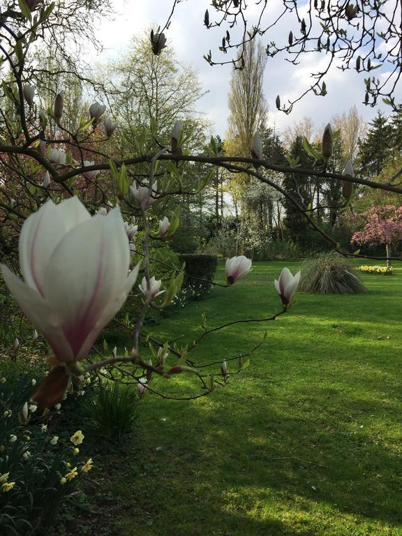 Le Domaine Des Loups Hotel Souchez Bagian luar foto